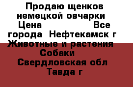 Продаю щенков немецкой овчарки › Цена ­ 5000-6000 - Все города, Нефтекамск г. Животные и растения » Собаки   . Свердловская обл.,Тавда г.
